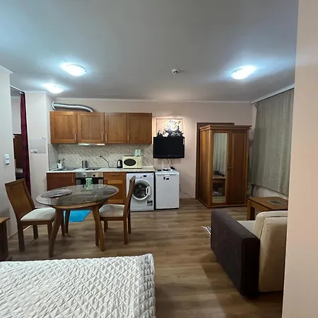 Apartamento Spacious At Gondola! Fast Wifi, Washer, Ac, Balcony, Quiet Bansko